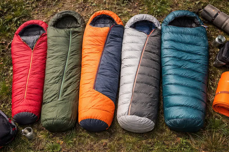 Soveposer på skovbund